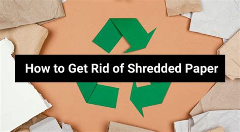 How to Get Rid of Shredded Paper: And Why It Might Be the Key to Unlocking Your Inner Artist